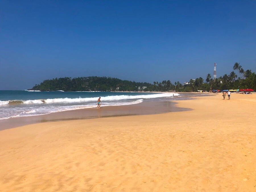 Palm-lined shoreline near Mirissa
